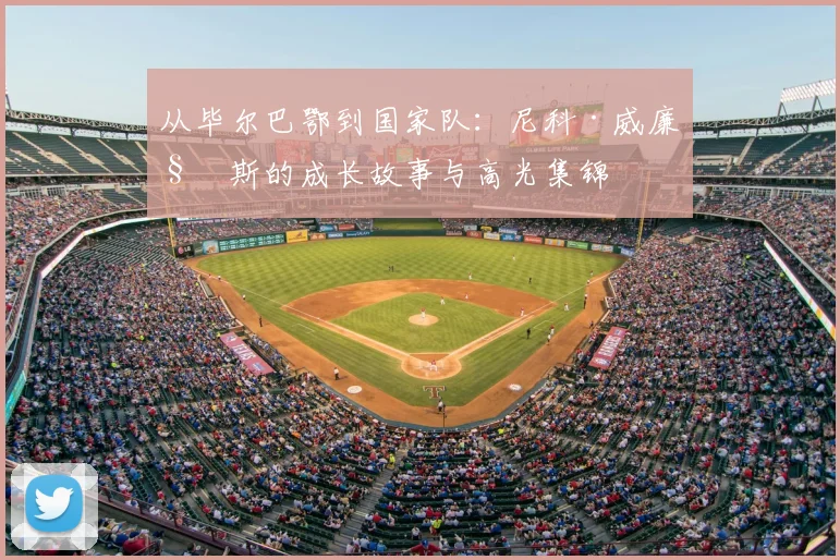 从毕尔巴鄂到国家队：尼科·威廉姆斯的成长故事与高光集锦